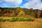 Autumn in the Palatinate Forest