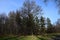 Autumn panorama of the park. Deciduous trees with bare branches.