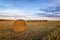 Autumn panorama rural field with cut grass at sunset