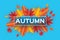 Autumn Paper Cut Leaves. Hello Autumn. September flyer template. Rectangle frame.