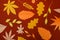 Autumn paper leaves on red background, falling orange and yellow leaves wall