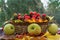 Autumn. Paradise apples in a wicker basket. Autumn composition