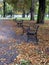 Autumn in park