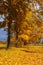 Autumn park alley bench autumn landscape