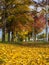 Autumn park alley bench autumn landscape