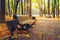 Autumn Park. Autumn landscape. Bench in the autumn park. Colorful leaves. Beautiful day in bright fall.