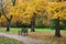 Autumn Park Bench