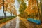 Autumn park bench, rainy texture background.