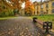 Autumn park bench, rainy texture background