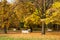 Autumn park benches