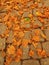 Autumn park cobble stone footpath with dry orange lime tree leaves , colorful leaf