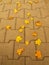 Autumn park cobble stone footpath with dry orange yellow maple leaves , colorful leaf