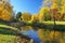 Autumn park with colorful trees