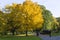 Autumn park with colourful trees