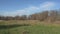 Autumn park with dry grass and fallen leaves, trees without leaves, abandoned and forgotten park.