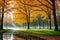 Autumn park with a flowing stream. Natural background, nature landscape wallpaper