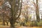 Autumn in the park. golden trees. Parc Astrid, Anderlecht, Belgium
