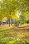 Autumn park in Italy. Benches, meadow, trees and sunlight. Beautiful nature in evroppe.