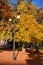 Autumn Park With Lanterns. Lantern in the autumn park.