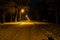 Autumn park at night. Glowing lights. Road with autumn leaves.