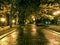 Autumn park at night. wet footpath reflect streetlights