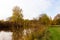 Autumn Park. The pond is overgrown with reeds