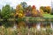 Autumn in park with pond, trees with colored leaves and wild flowers. nature in fall
