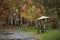 Autumn park rainy autumn nature of the Far Eastern city of Russia