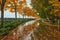 autumn park, rainy background, autumn landscape background rain