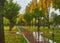 autumn park, rainy background, autumn landscape background rain