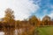 Autumn park by the river.  The pond is overgrown with reeds