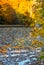 Autumn park scenery- pond- leaves on water