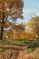 Autumn park in September on a bright warm day, a path with red leaves. Beautiful bright landscape in the park, seasons, golden