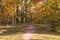 Autumn park in September on a bright warm day, a path with red leaves. Beautiful bright landscape in the park, seasons, golden