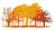 Autumn park, silhouettes of trees and bushes in autumn colors yellow, orange, brown and others.Vector illustration