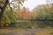 Autumn Park, surrounded by trees and a pond, ducks swim