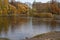 Autumn Park. Waterfowl are cholea, gulls, ducks in the autumn pond in the Tauride Gardens. Autumn in the city of St