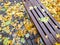 Autumn park. wooden bench and stone footpath covered with yellow fallen leaves