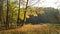 Autumn Park with a wooden fence on an autumn day. Place under the picnic meadow for a rest