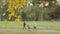 Autumn park, yellow birch leaves sway in focus. A family walks in the background with a dog and a stroller with a child