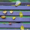 Autumn, Part of vivid benches in park, leaves close-up, similar to notes on typical five-line staff. Colorful square