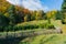 Autumn pasture and tree nursery