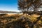 Autumn in Patagonia. Tierra del Fuego, Beagle Channel