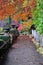 Autumn path in butchart gardens