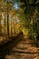 Autumn path in mountains village.