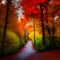 Autumn path with reds, oranges and yellows