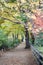 Autumn Pathway in the forest to Musashino Art University