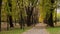 Autumn pathway in Victory park. Time lapse shot in motion