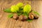 Autumn pattern of assorted chestnuts green and brown fruit on a wooden background