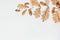Autumn pattern composition. Acorns, golden aok leaves in branch shape on background. Autumn pattern design element. Flat lay, top